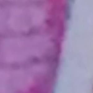 Meet your Posher, Terry